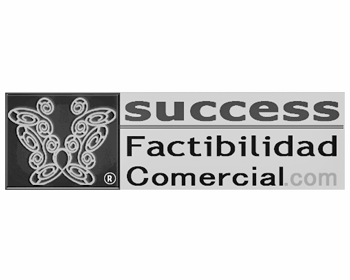 NydSiigel_success_factibilidad_comercial_350_280